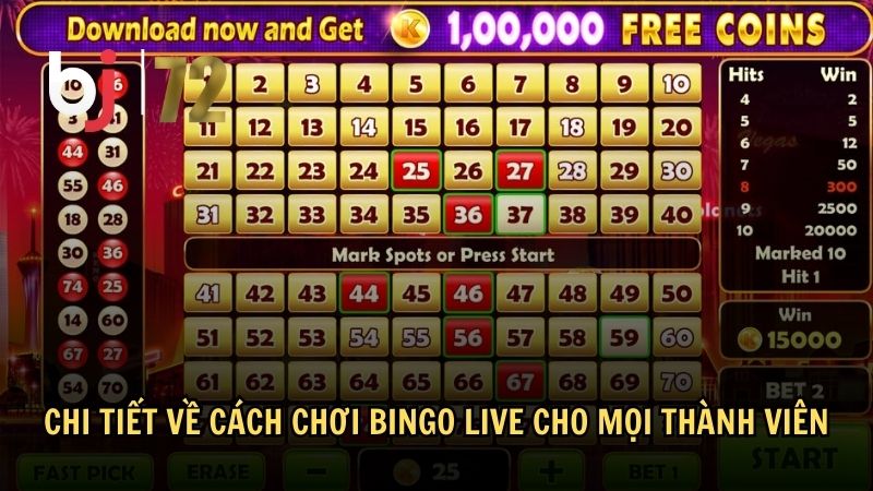 Chi tiết về cách chơi Bingo Live cho mọi thành viên