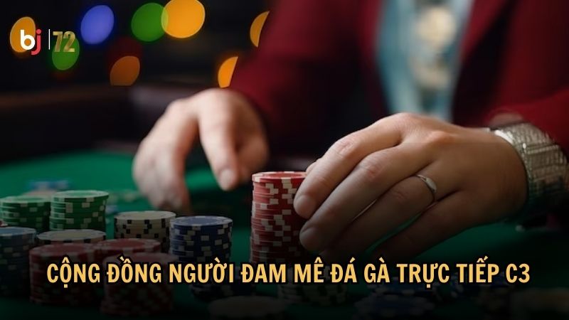 Cộng đồng người đam mê đá gà trực tiếp C3