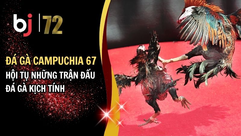 Đá gà Campuchia 67