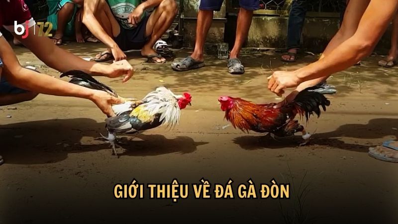 Đá gà đòn là gì?