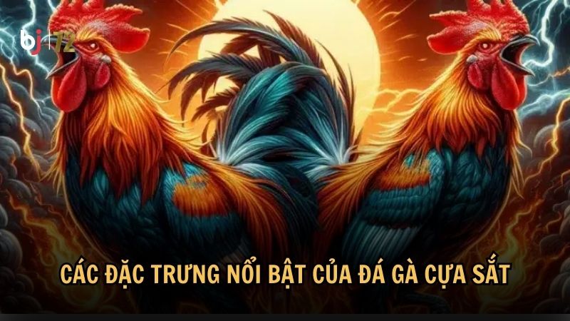 Các đặc trưng nổi bật của đá gà cựa sắt