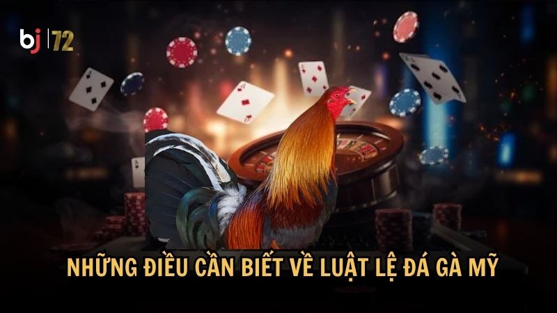 Những điều cần biết về luật lệ đá gà Mỹ